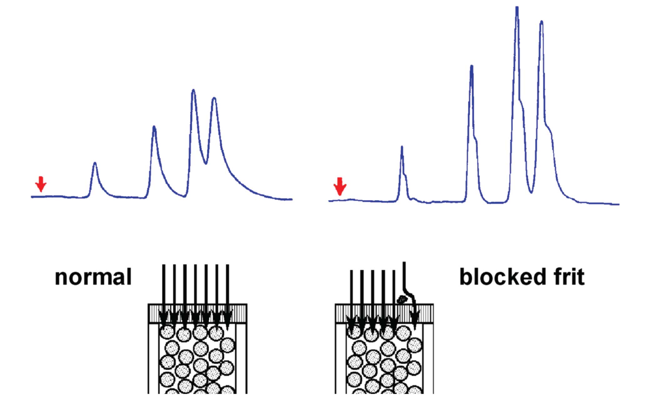Column Failure Regeneration Separation Science